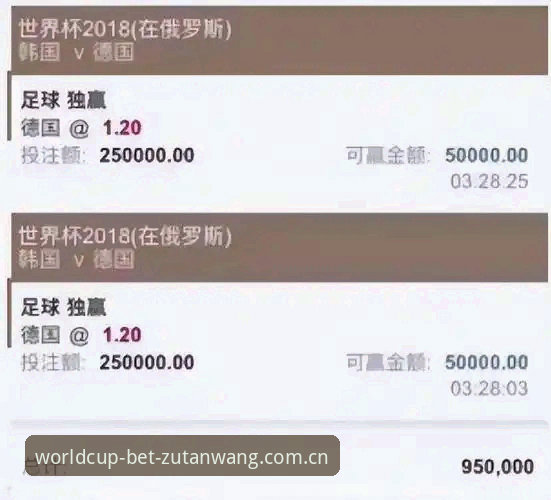 揭秘世界杯买球平台：足坛网投注流程背后的专业操作指南