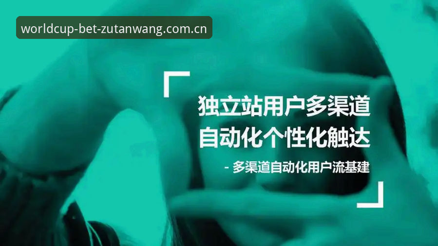 资深用户分享：世界杯前夕的签证困局与观赛新选择，买球平台体验心得